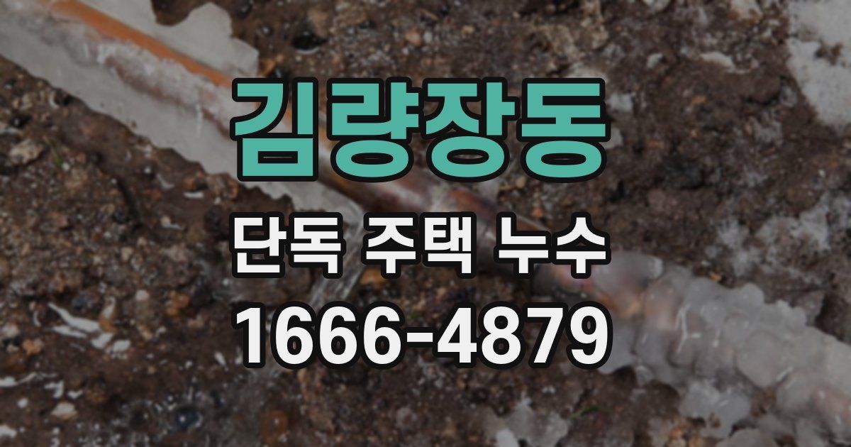 김량장동 단독 주택 누수