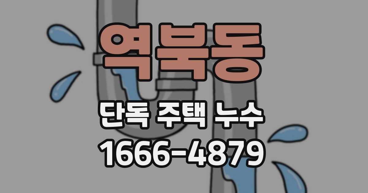 역북동 단독 주택 누수