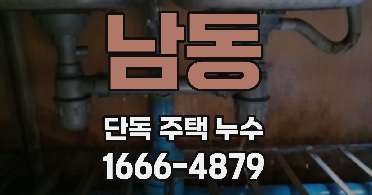 남동 단독 주택 누수
