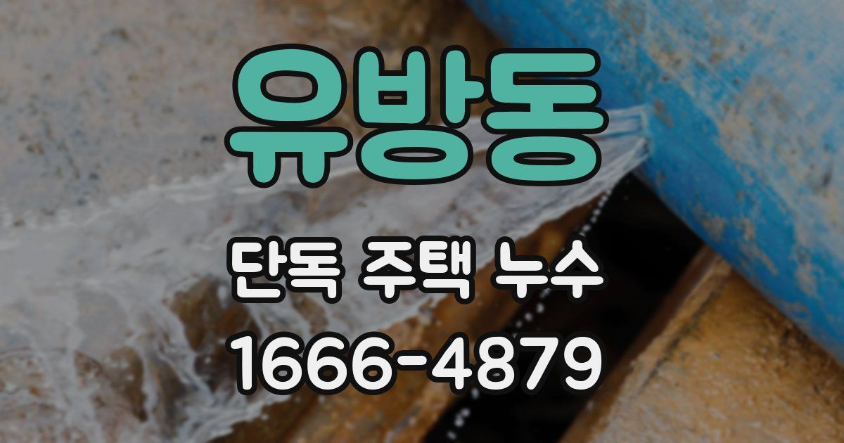 유방동 단독 주택 누수