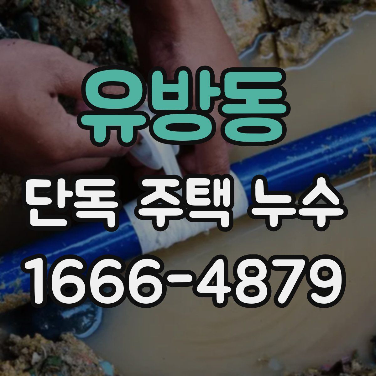 유방동 단독 주택 누수
