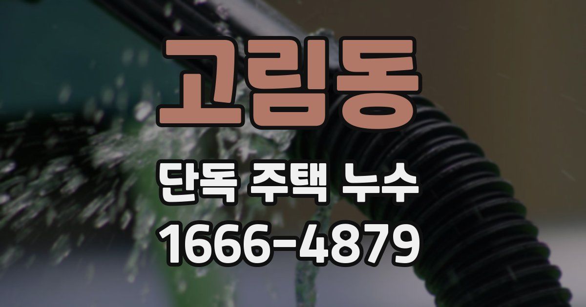 고림동 단독 주택 누수