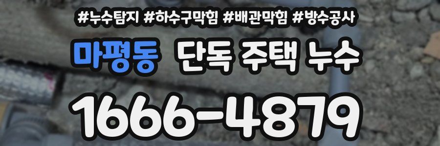 마평동 단독 주택 누수