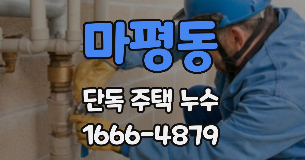 마평동 단독 주택 누수