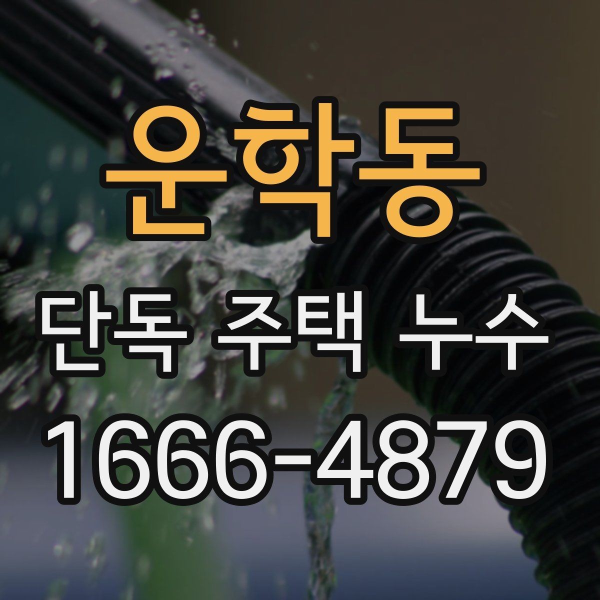 운학동 단독 주택 누수 흔한 증상과 초기 대응