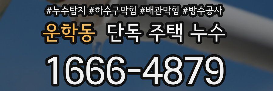 운학동 단독 주택 누수