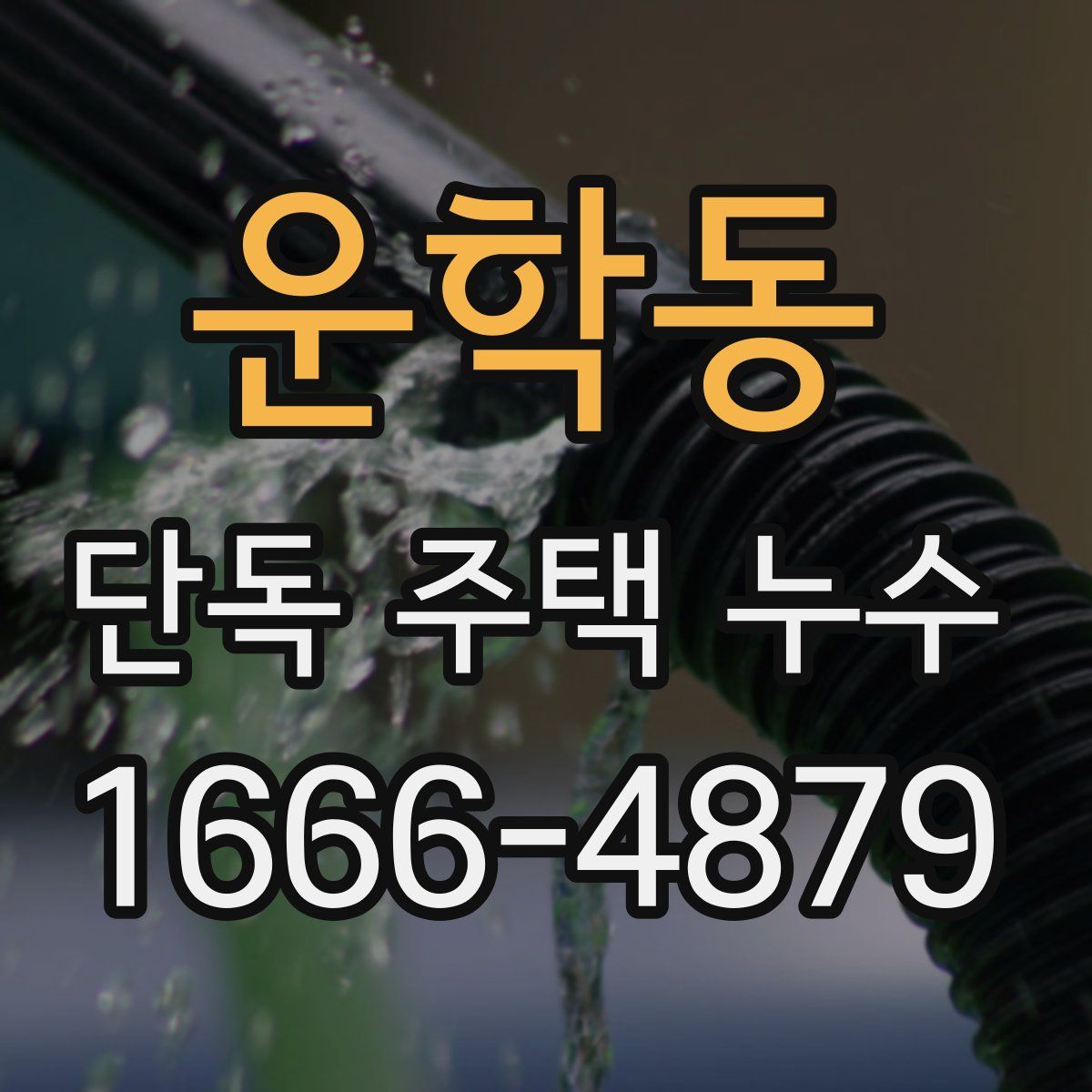 운학동 단독 주택 누수