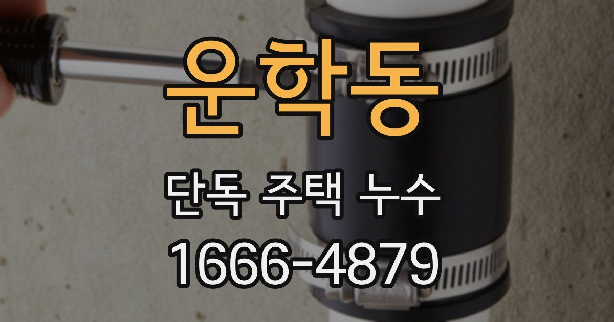 운학동 단독 주택 누수
