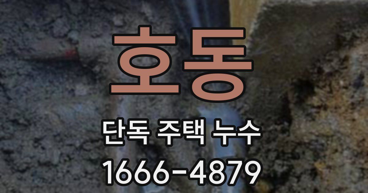 호동 단독 주택 누수
