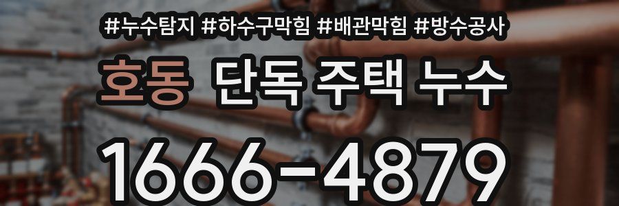 호동 단독 주택 누수
