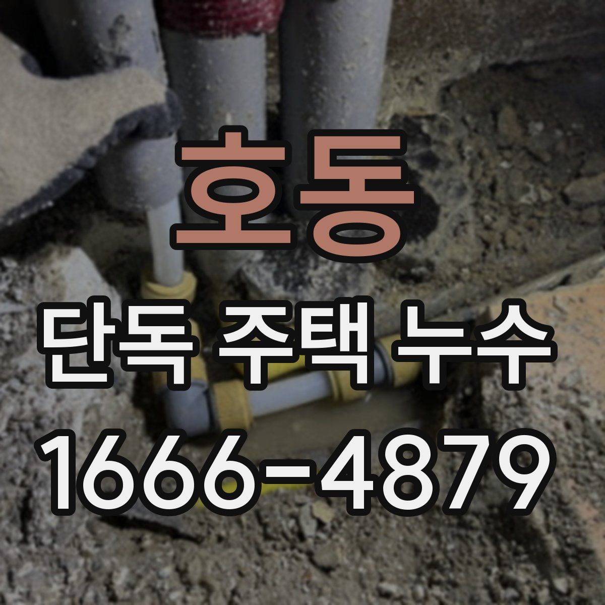 호동 단독 주택 누수