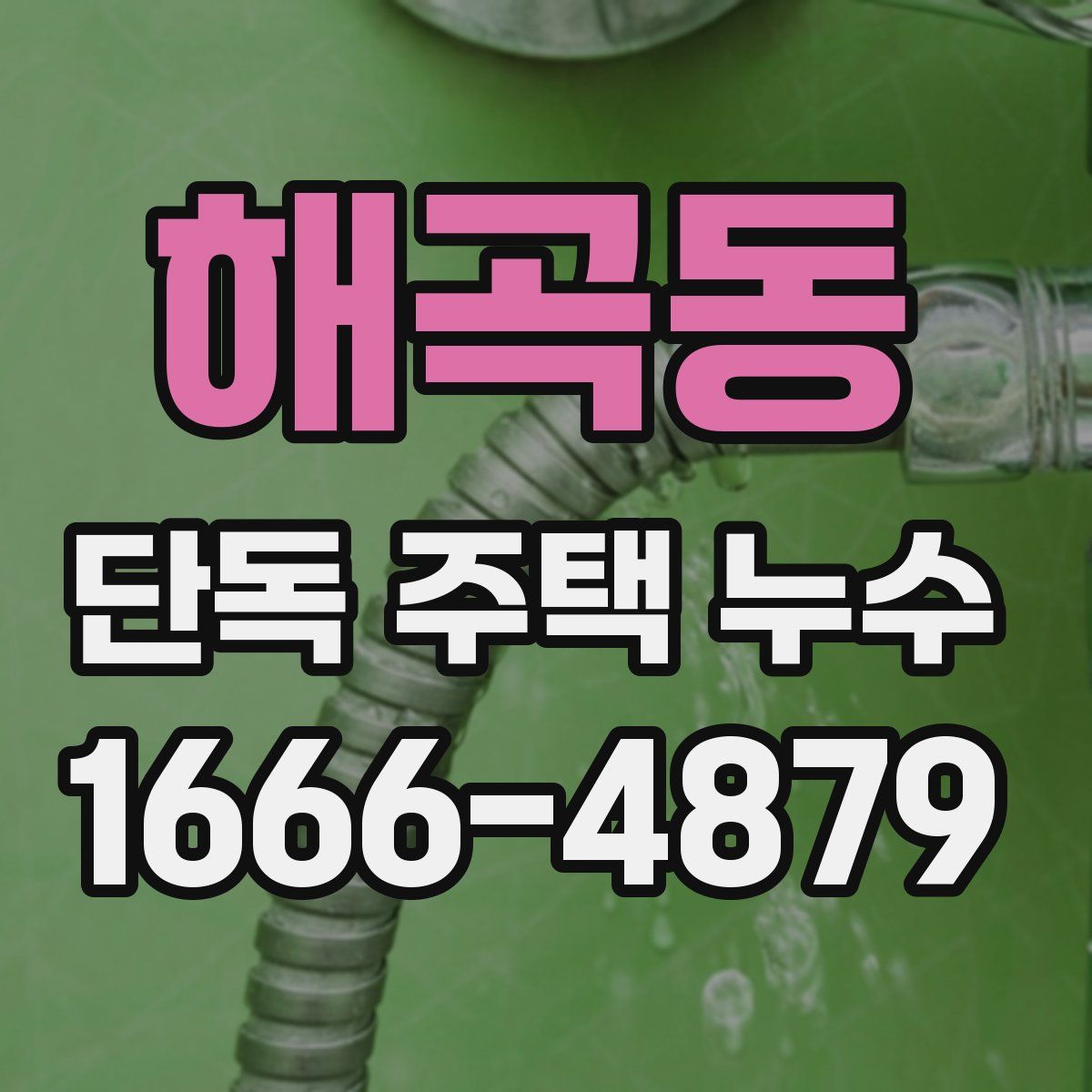 해곡동 단독 주택 누수