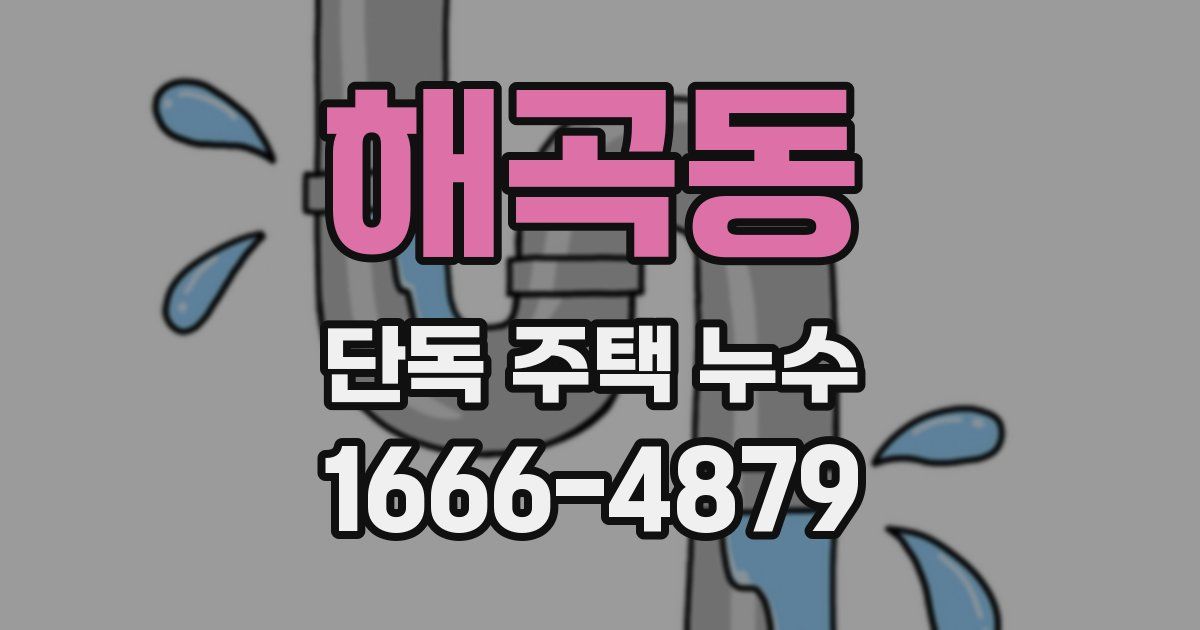 해곡동 단독 주택 누수
