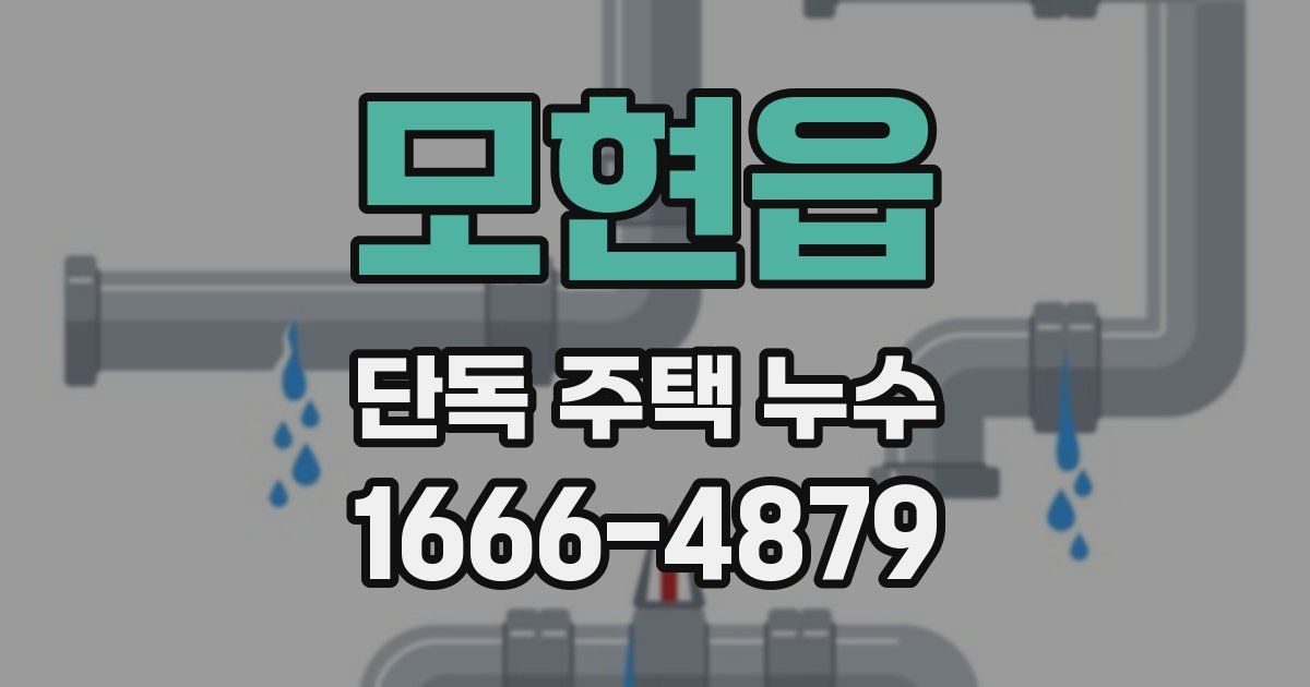 모현읍 단독 주택 누수