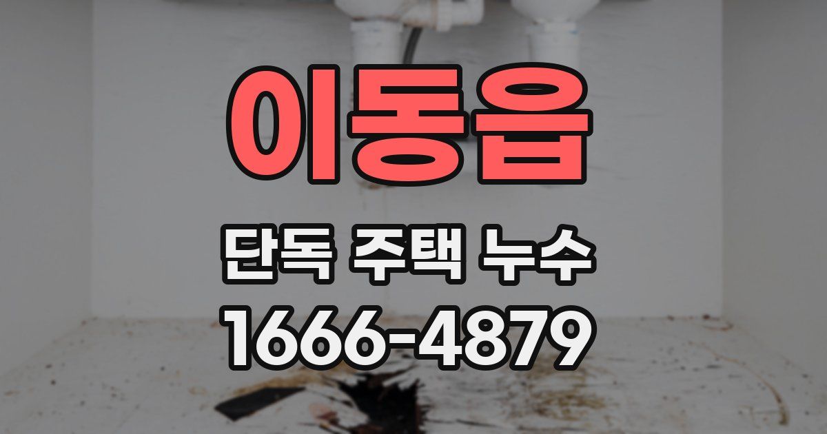이동읍 단독 주택 누수