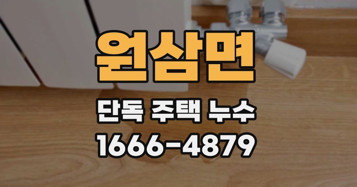 원삼면 단독 주택 누수