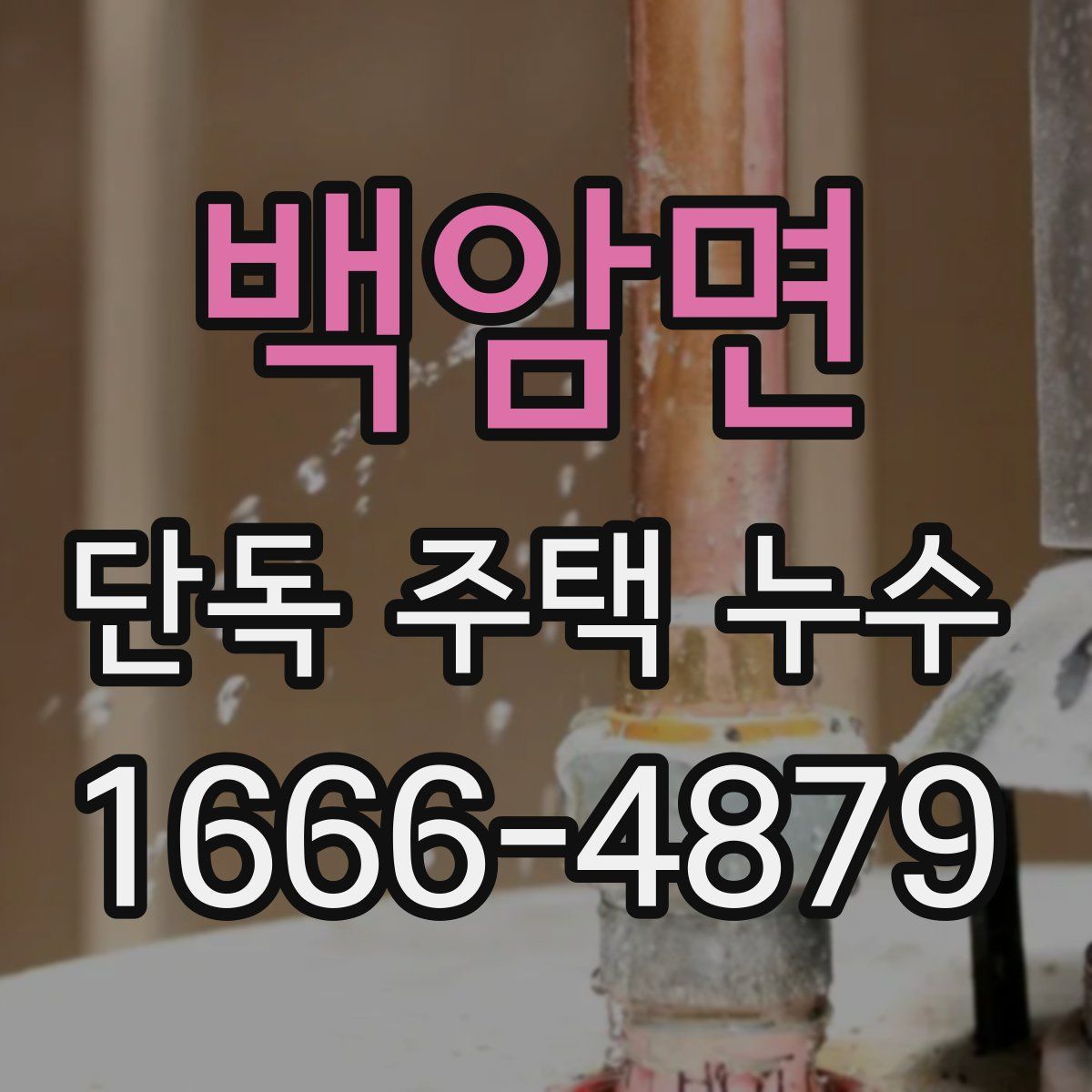 백암면 단독 주택 누수
