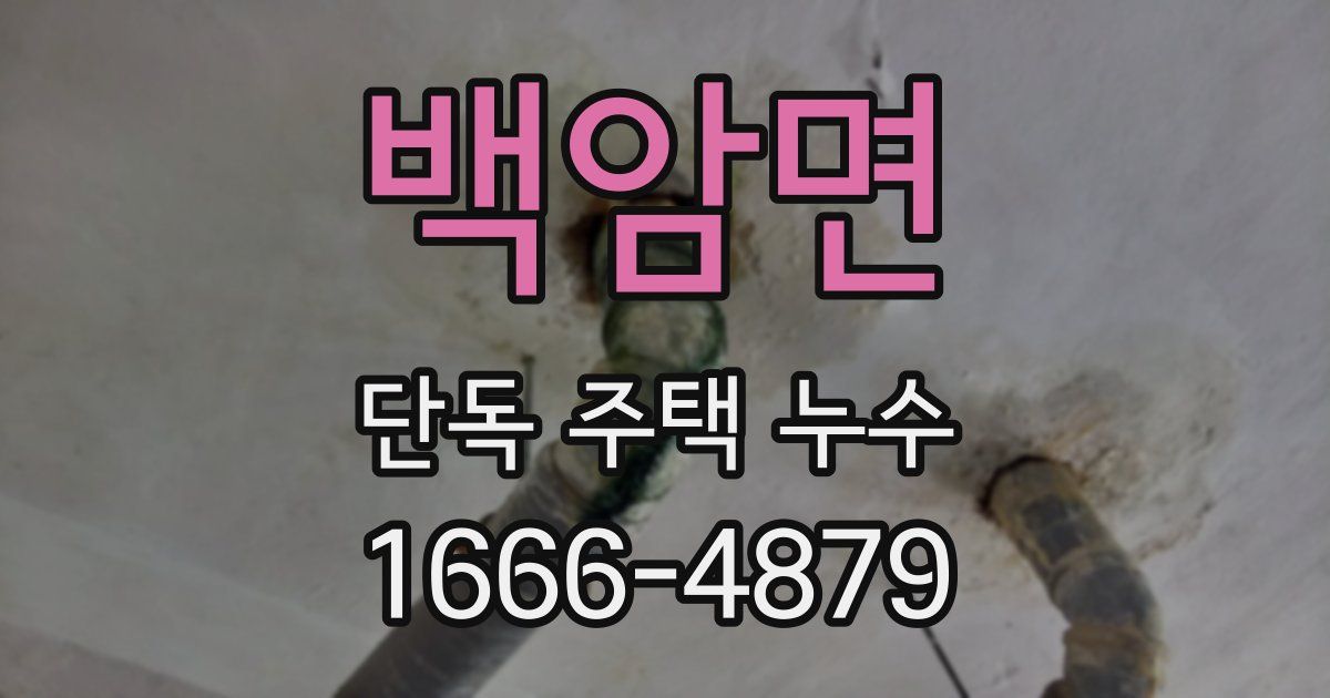 백암면 단독 주택 누수