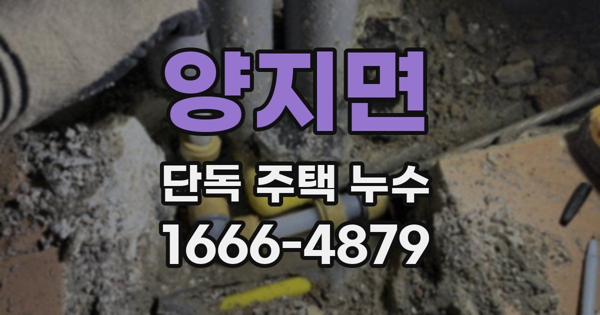 양지면 단독 주택 누수