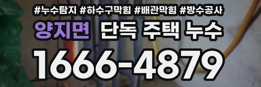 양지면 단독 주택 누수