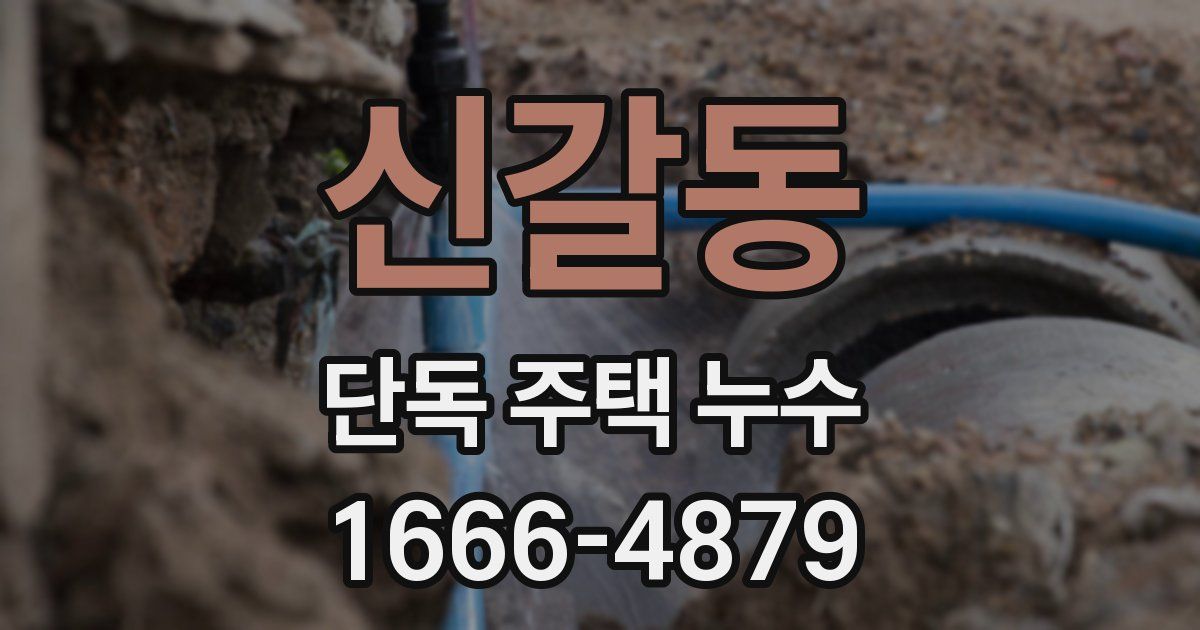 신갈동 단독 주택 누수