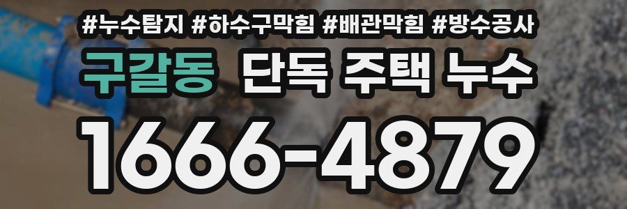구갈동 단독 주택 누수