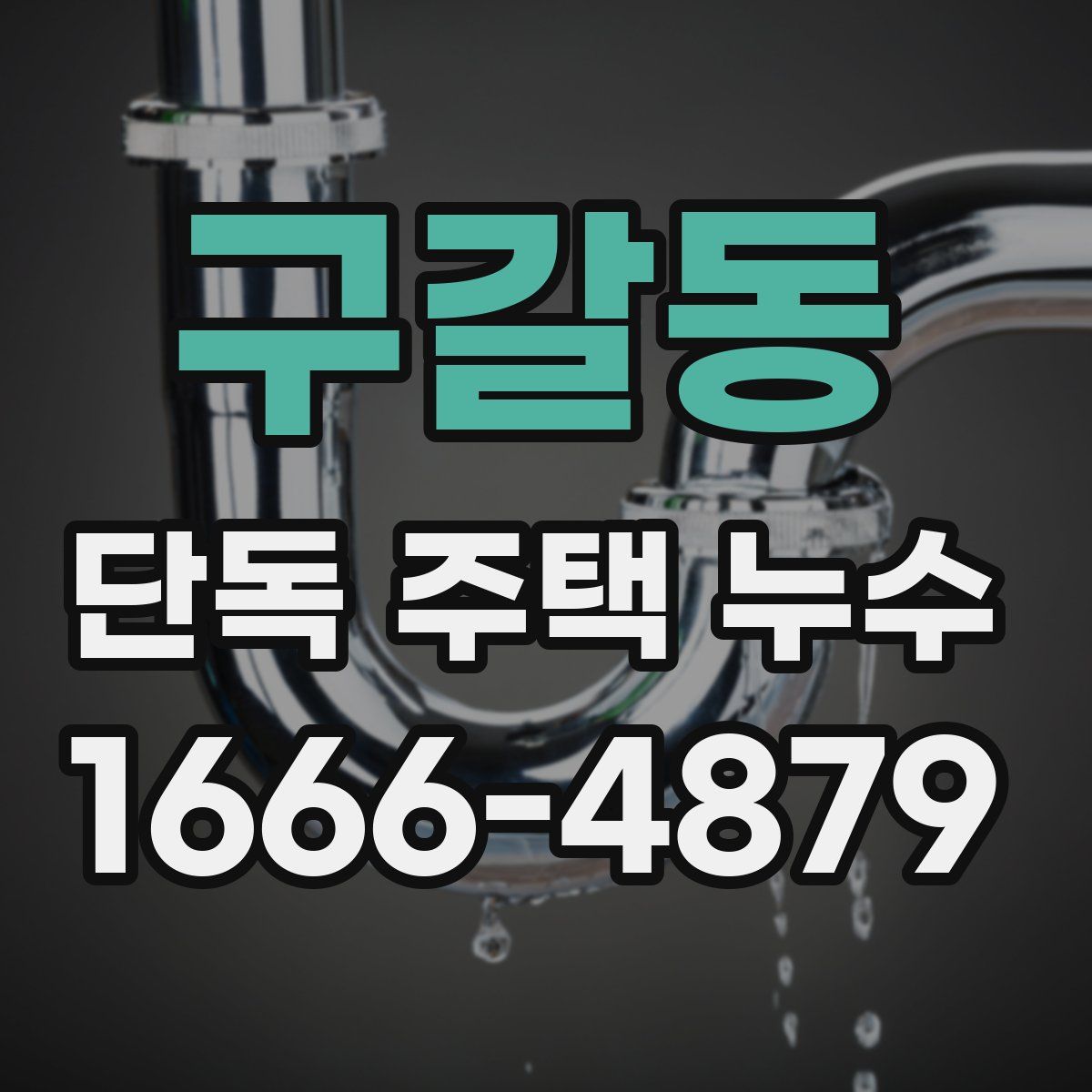 구갈동 단독 주택 누수
