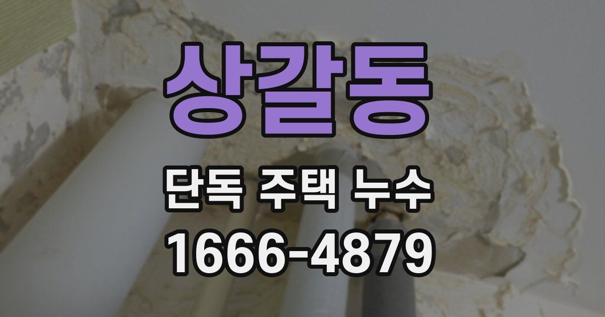상갈동 단독 주택 누수
