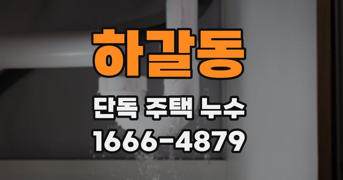 하갈동 단독 주택 누수
