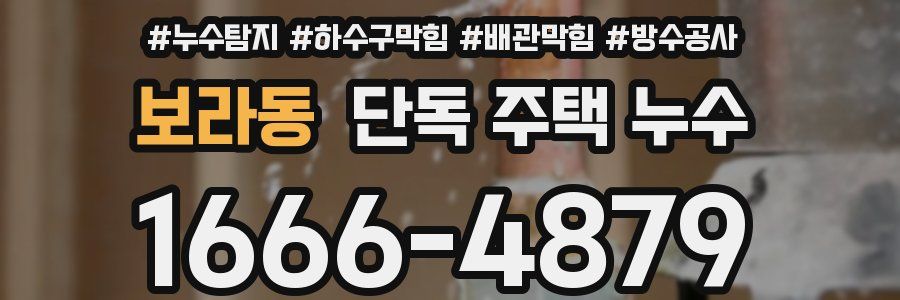 보라동 단독 주택 누수