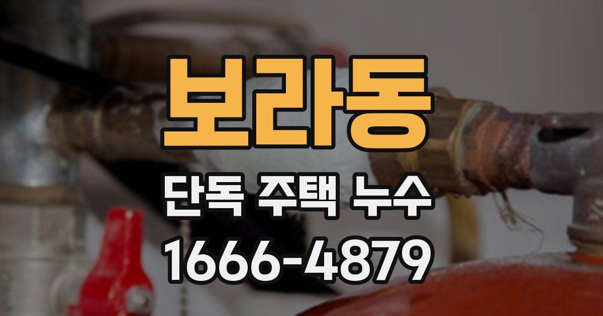 보라동 단독 주택 누수