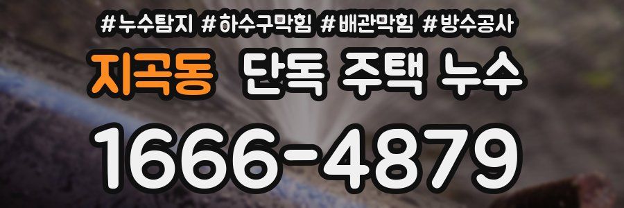 지곡동 단독 주택 누수