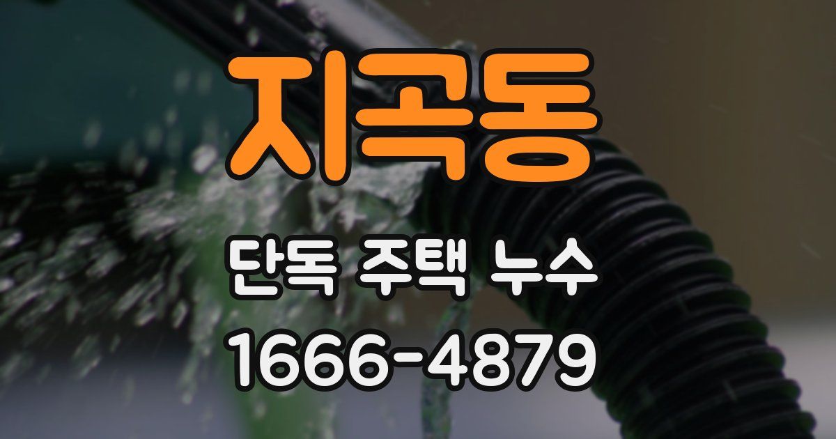 지곡동 단독 주택 누수