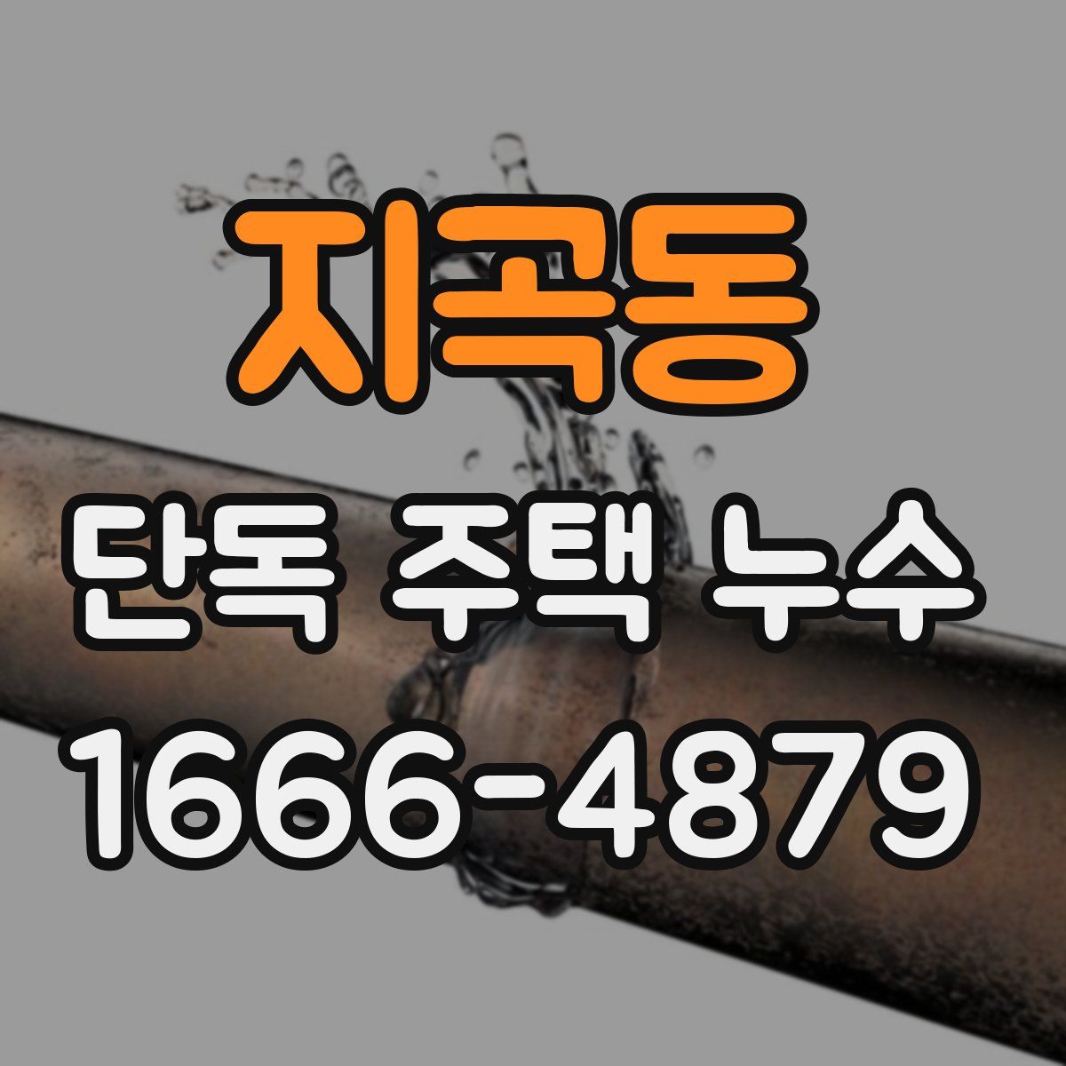 지곡동 단독 주택 누수