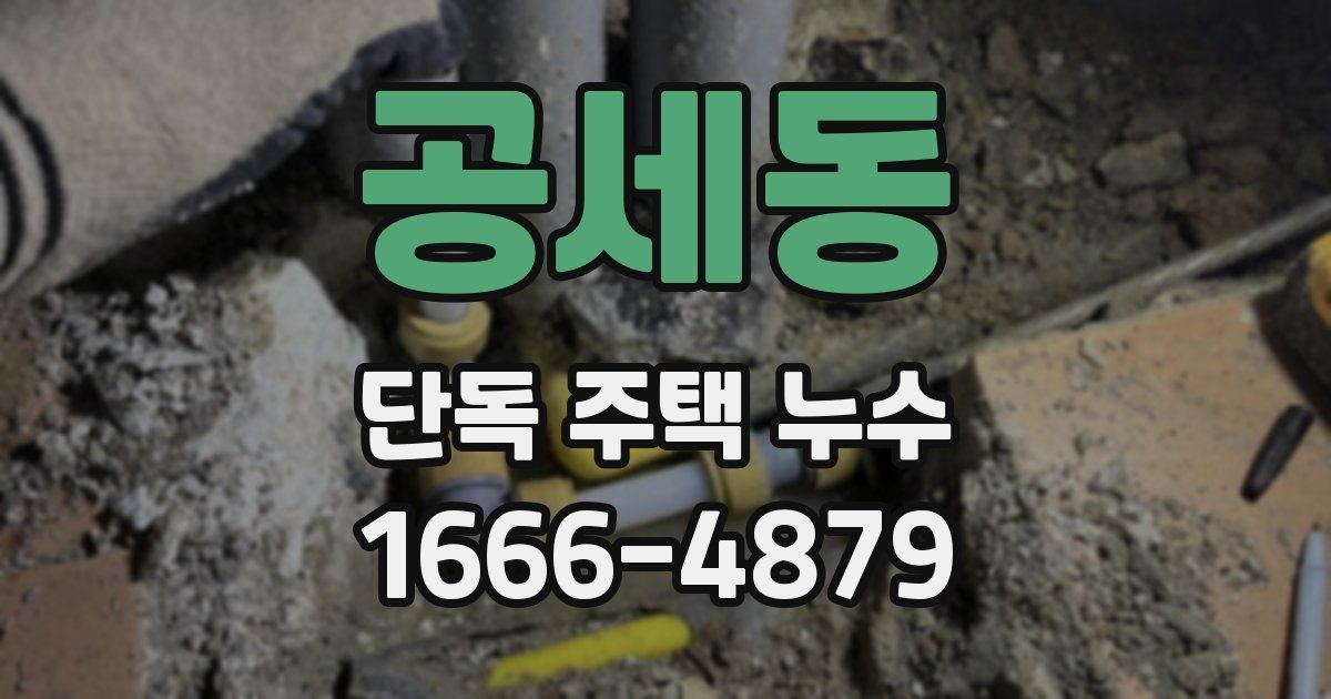 공세동 단독 주택 누수