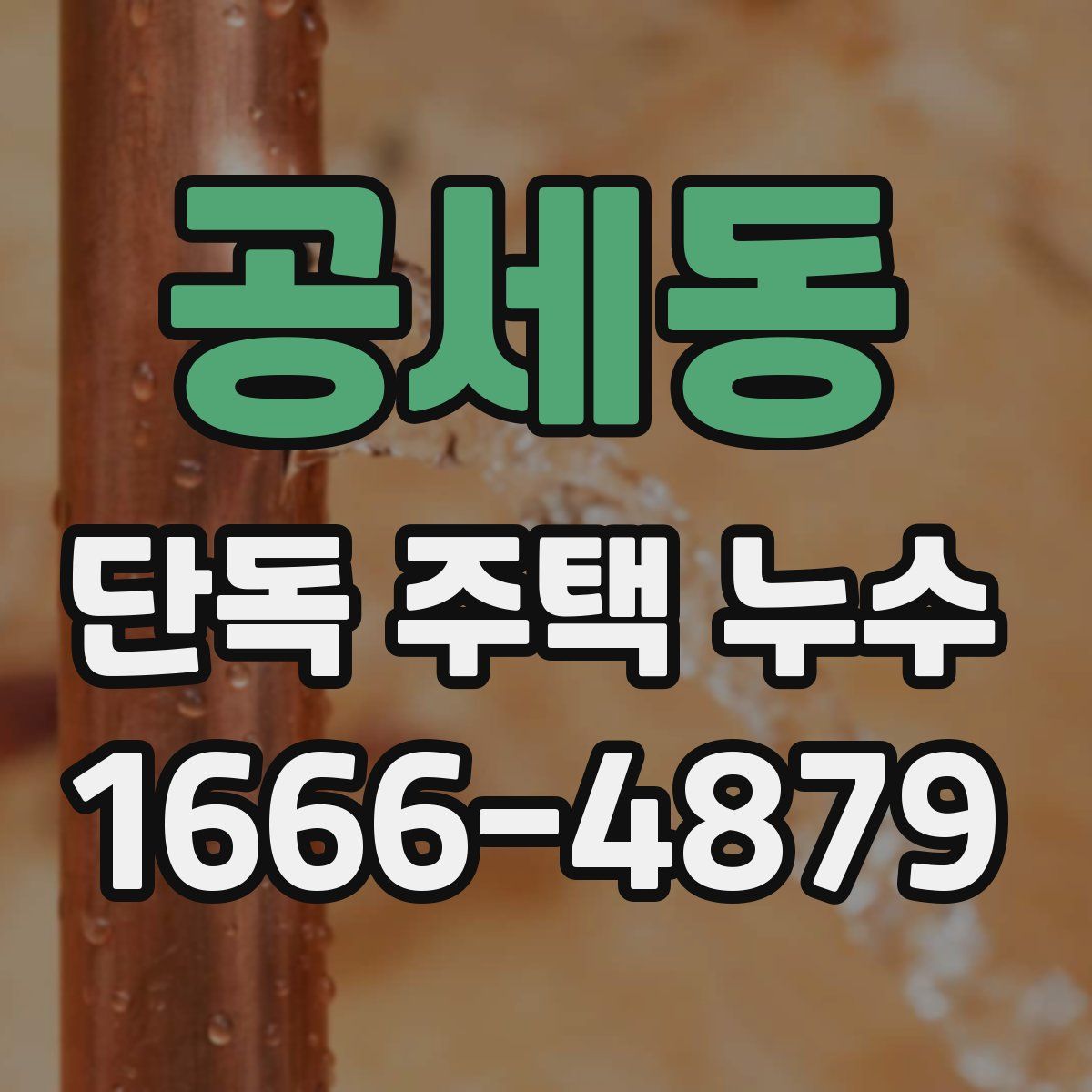 공세동 단독 주택 누수