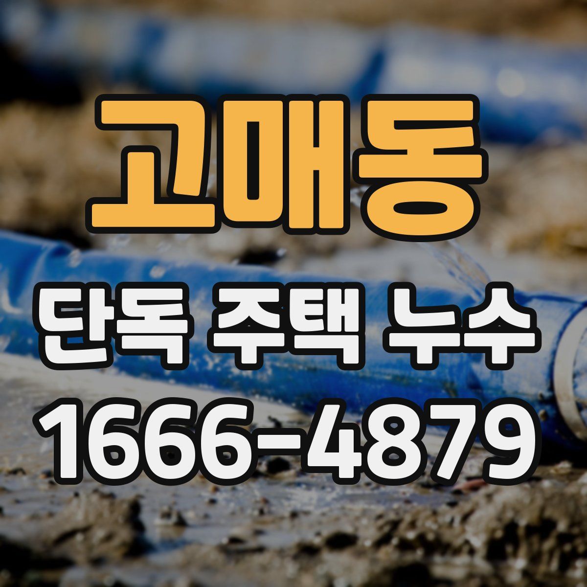 고매동 단독 주택 누수
