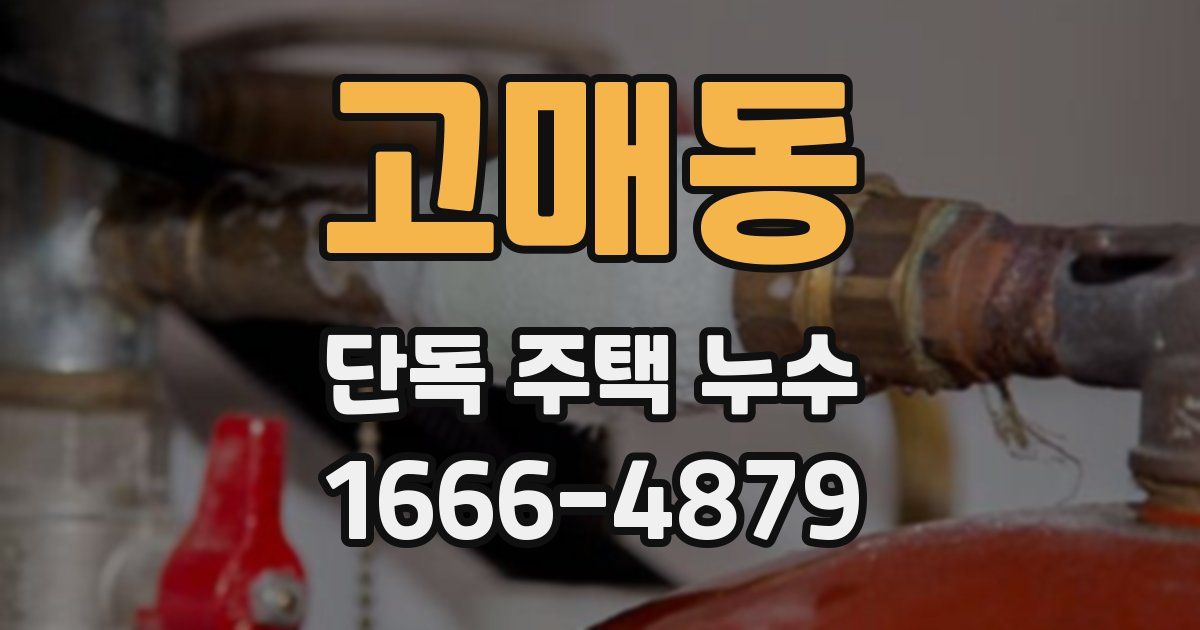 고매동 단독 주택 누수