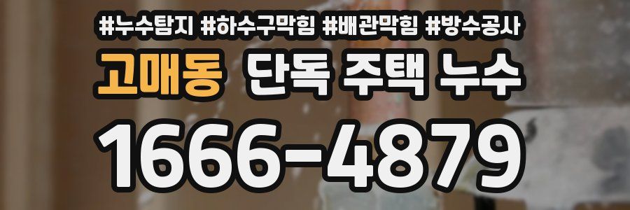 고매동 단독 주택 누수
