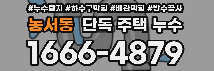 농서동 단독 주택 누수