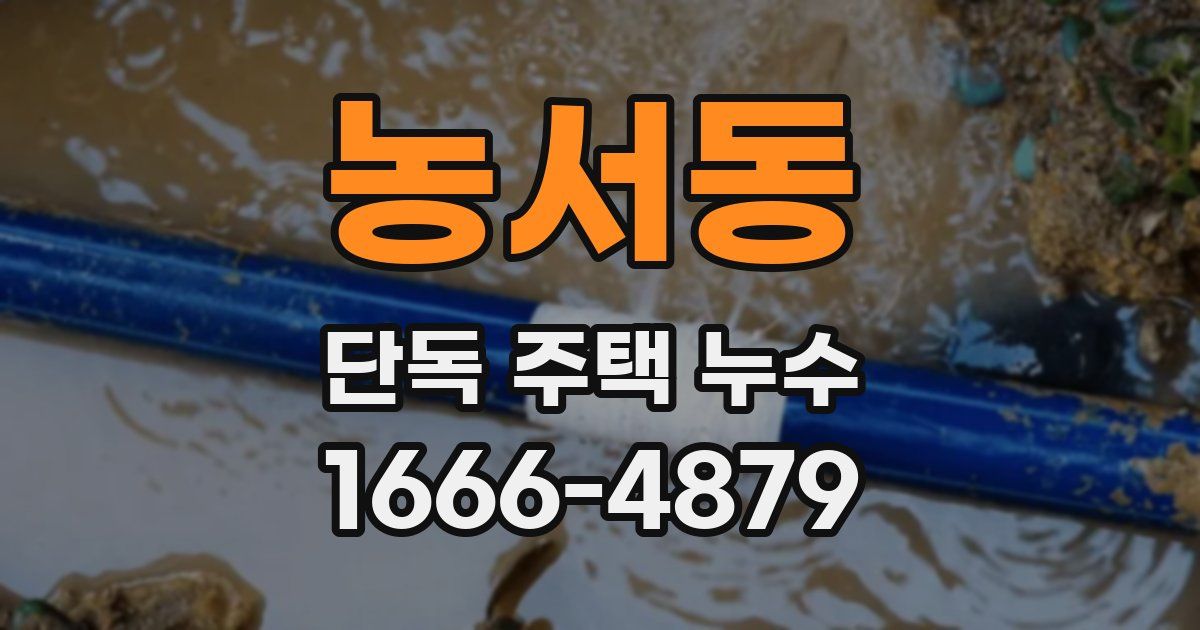 농서동 단독 주택 누수