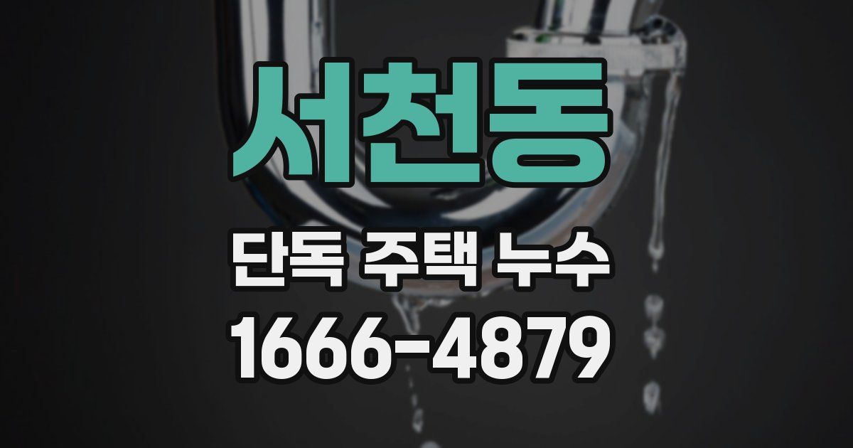서천동 단독 주택 누수