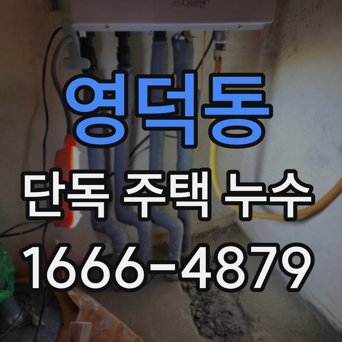 영덕동 단독 주택 누수