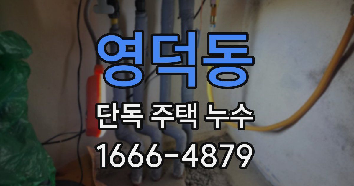 영덕동 단독 주택 누수