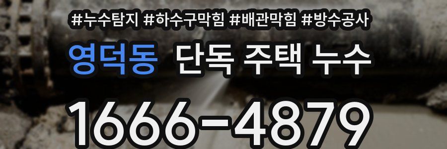 영덕동 단독 주택 누수