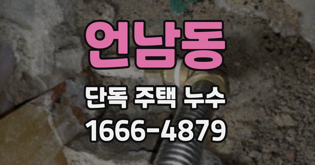 언남동 단독 주택 누수