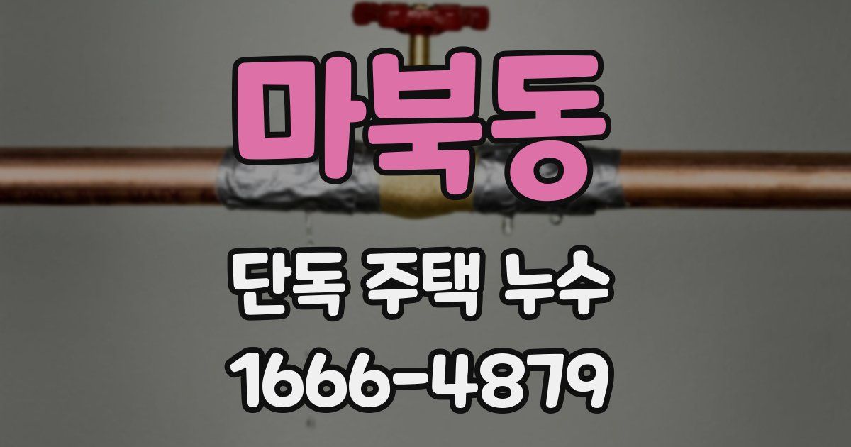 마북동 단독 주택 누수