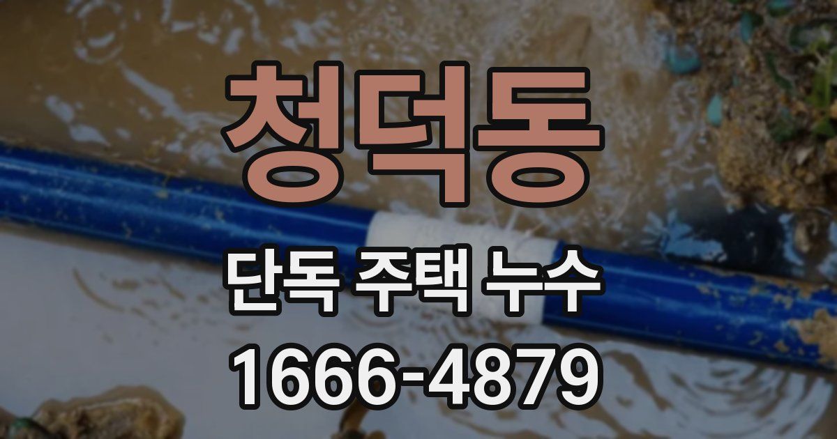 청덕동 단독 주택 누수