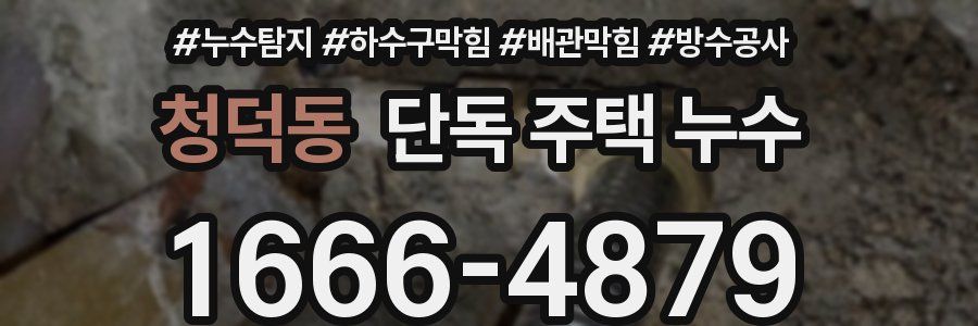 청덕동 단독 주택 누수