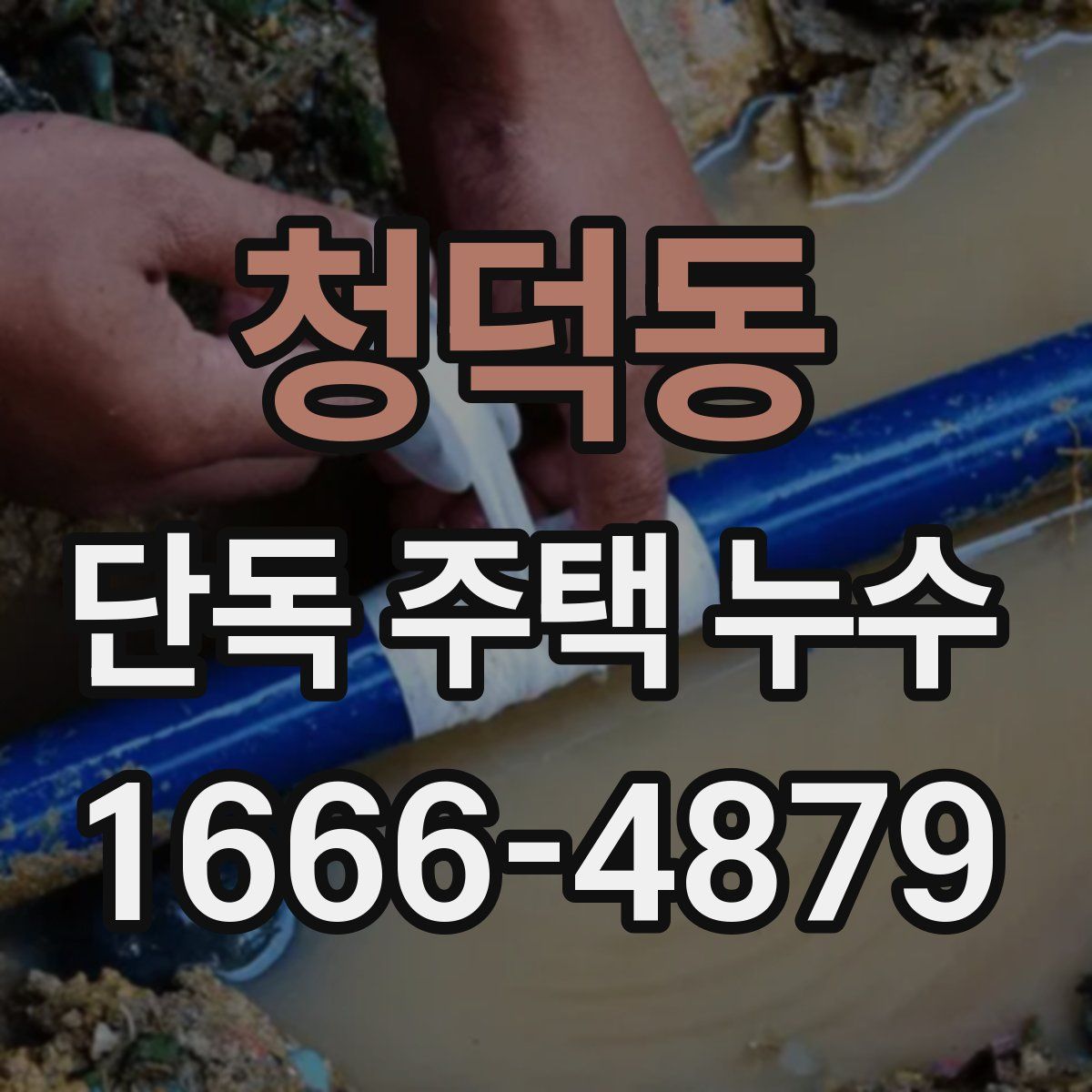 청덕동 단독 주택 누수